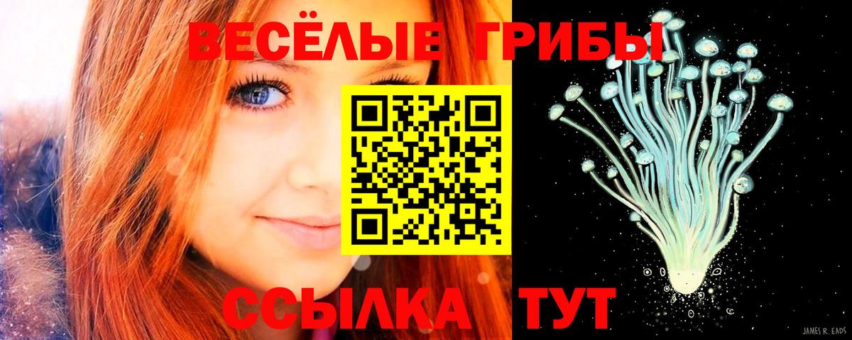 Псилоцибиновые грибы Magic Shrooms Слободской